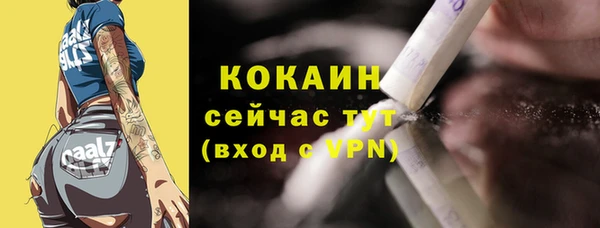 соль ск Белокуриха