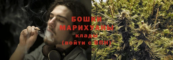 соль ск Белокуриха