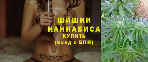 соль ск Белокуриха
